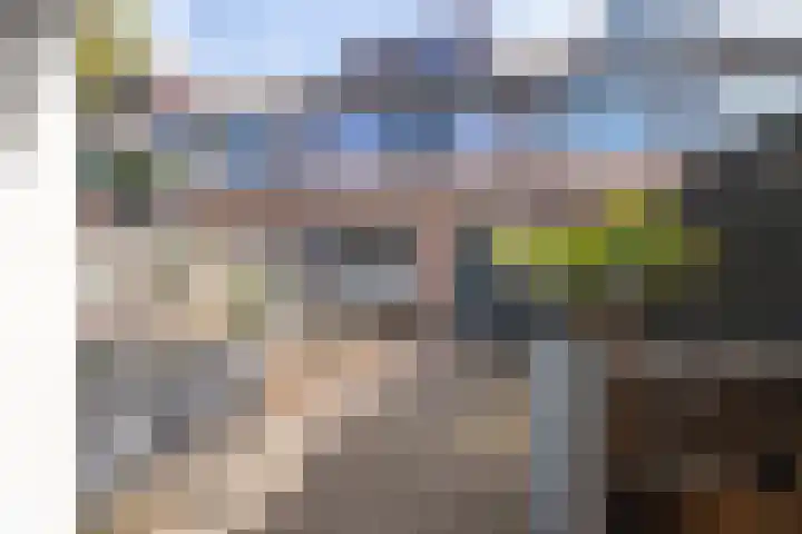Fluytschip 42 De Rijp thumbnail 41