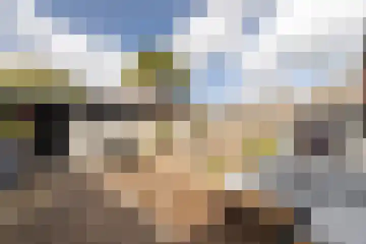 Fluytschip 42 De Rijp thumbnail 44