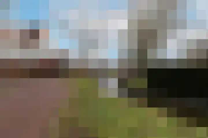 Fluytschip 42 De Rijp thumbnail 50