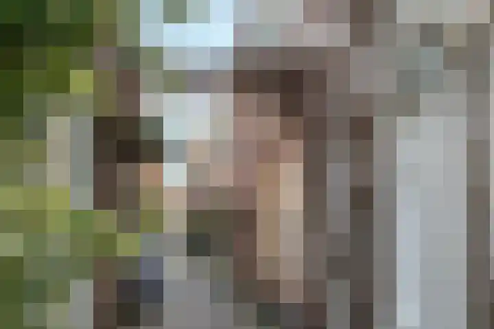 Fnidsen 52 E Alkmaar thumbnail 33