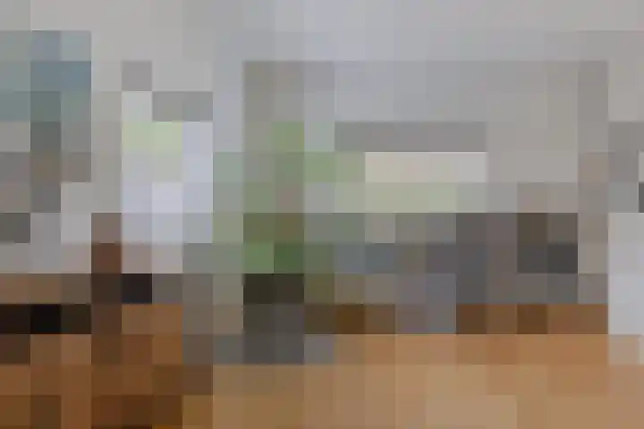 Foareker 14 Menaam thumbnail 11