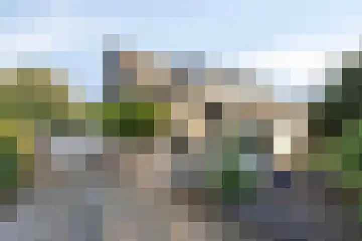 Foareker 14 Menaam thumbnail 6