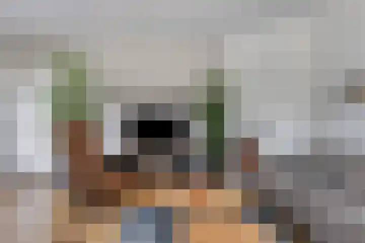 Foareker 14 Menaam thumbnail 9