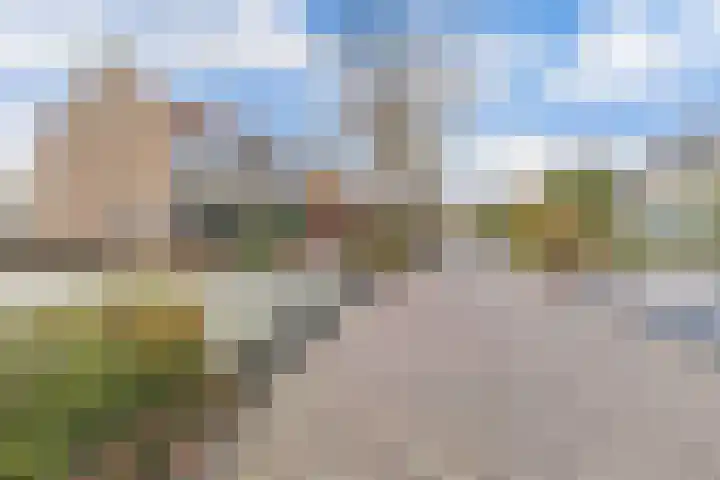 Foareker 82 Ureterp thumbnail 10