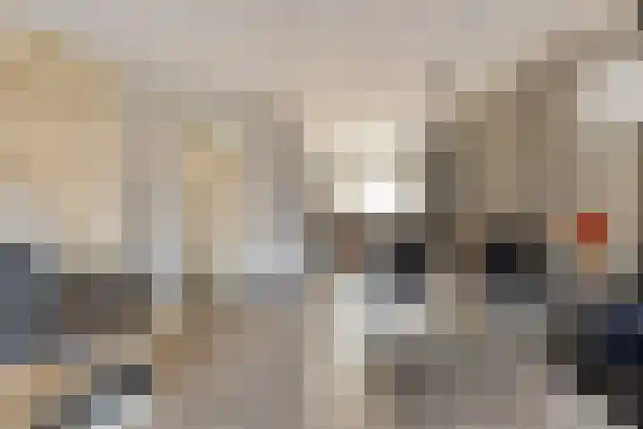 Foareker 82 Ureterp thumbnail 13