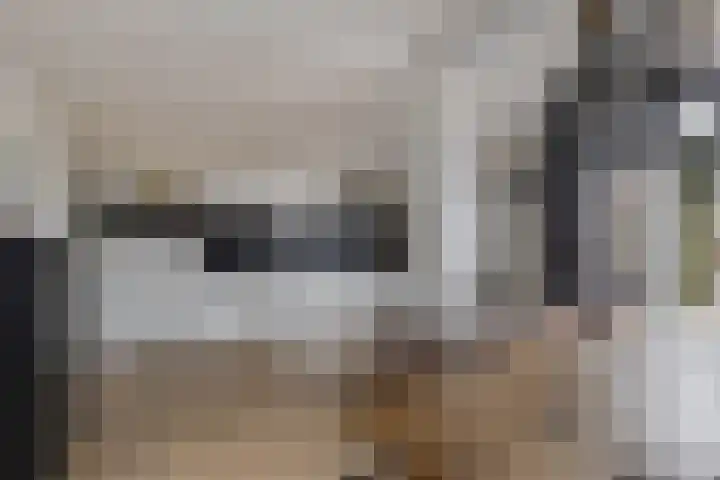 Foareker 82 Ureterp thumbnail 23