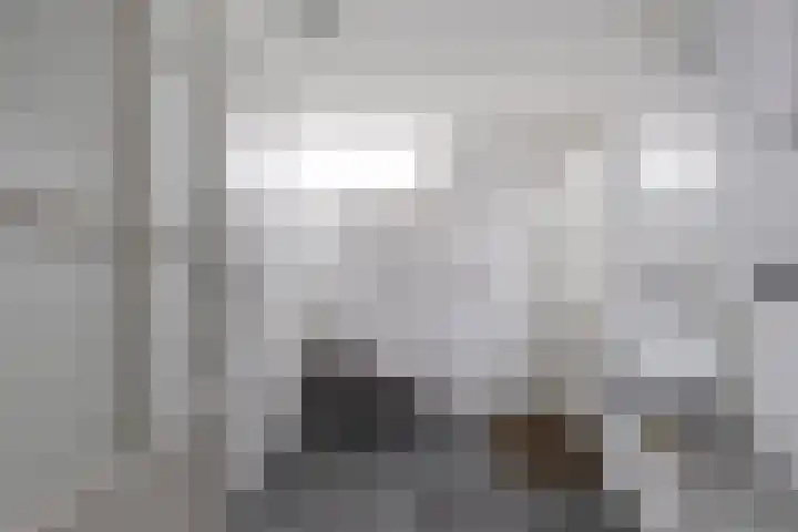 Foareker 82 Ureterp thumbnail 27