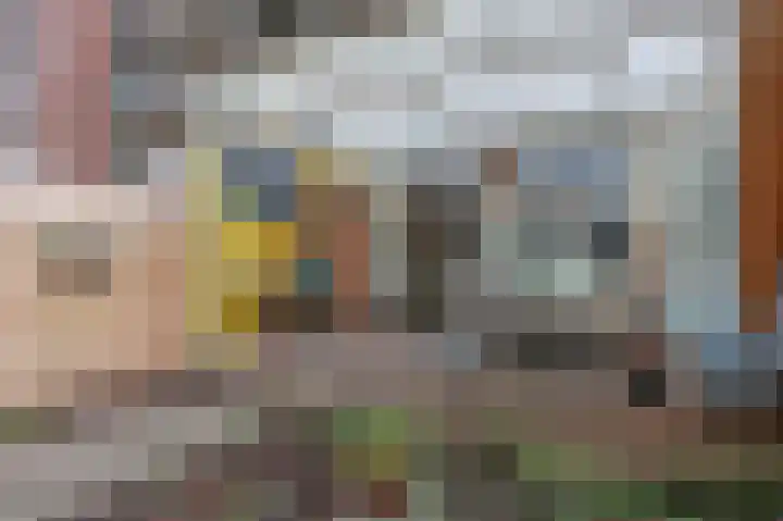 Foareker 82 Ureterp thumbnail 28