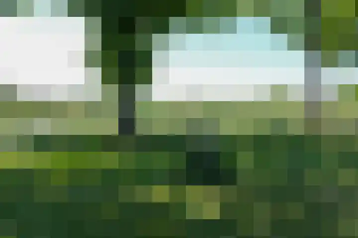 Foareker 82 Ureterp thumbnail 30