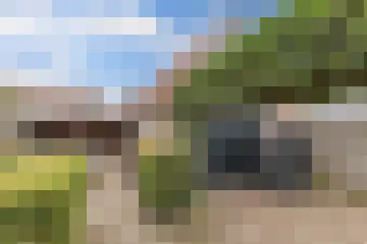 Foareker 82 Ureterp thumbnail 4