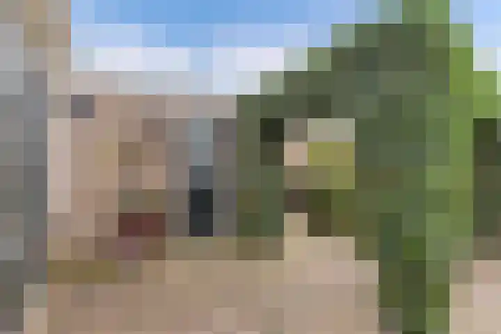 Foareker 82 Ureterp thumbnail 42