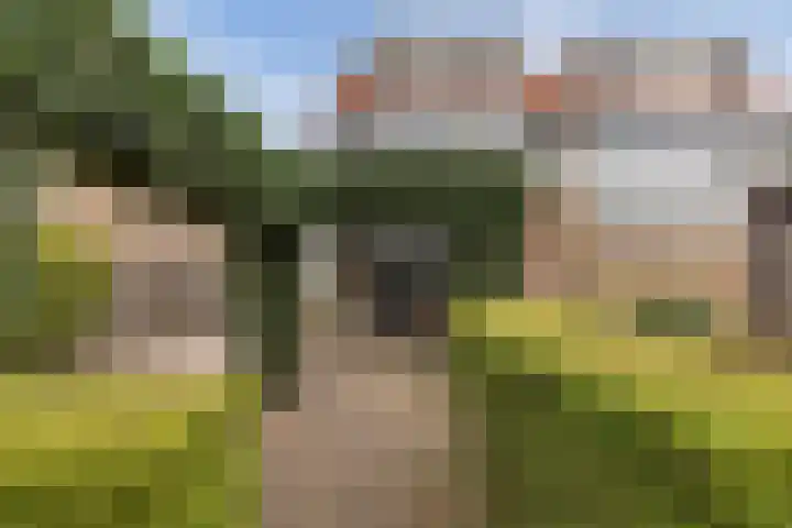 Foareker 82 Ureterp thumbnail 44