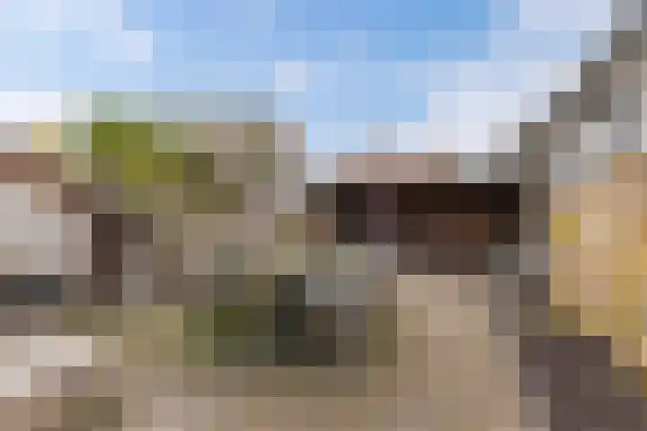 Foareker 82 Ureterp thumbnail 49