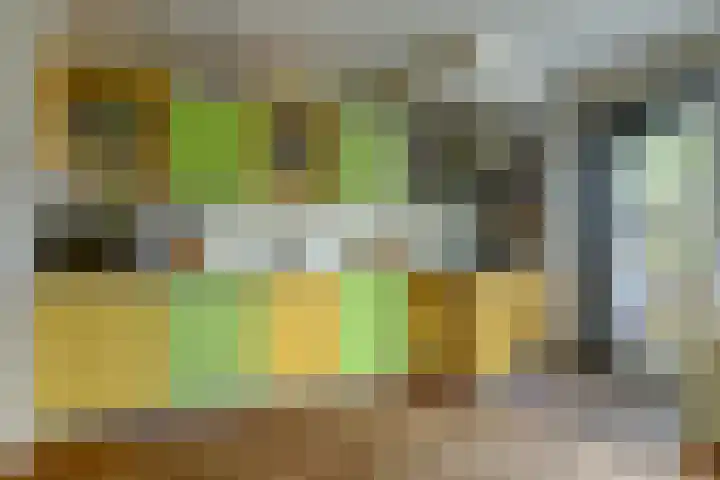 Foareker 82 Ureterp thumbnail 50