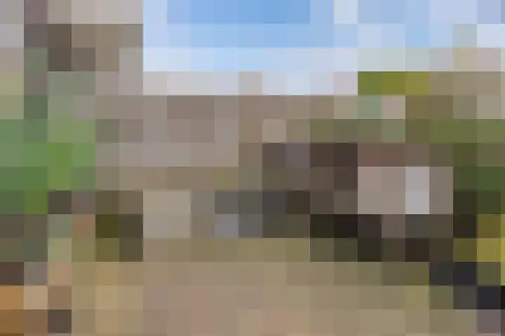 Foareker 82 Ureterp thumbnail 54