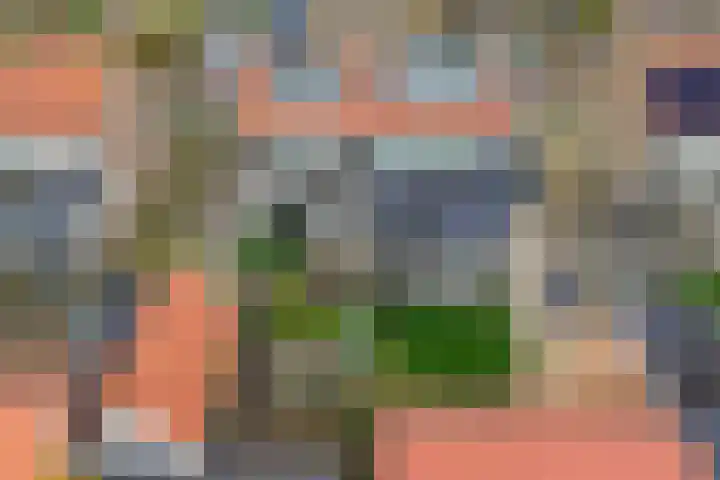 Foareker 82 Ureterp thumbnail 55