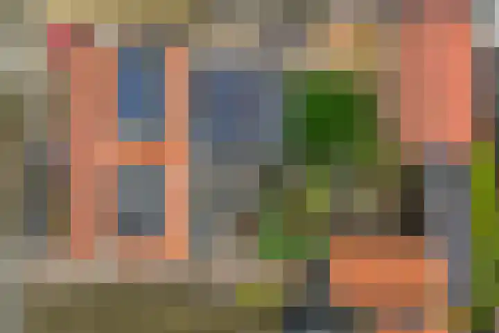 Foareker 82 Ureterp thumbnail 57