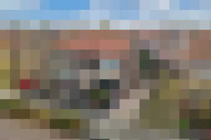 Foareker 82 Ureterp thumbnail 6