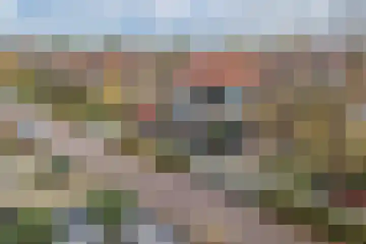 Foareker 82 Ureterp thumbnail 7
