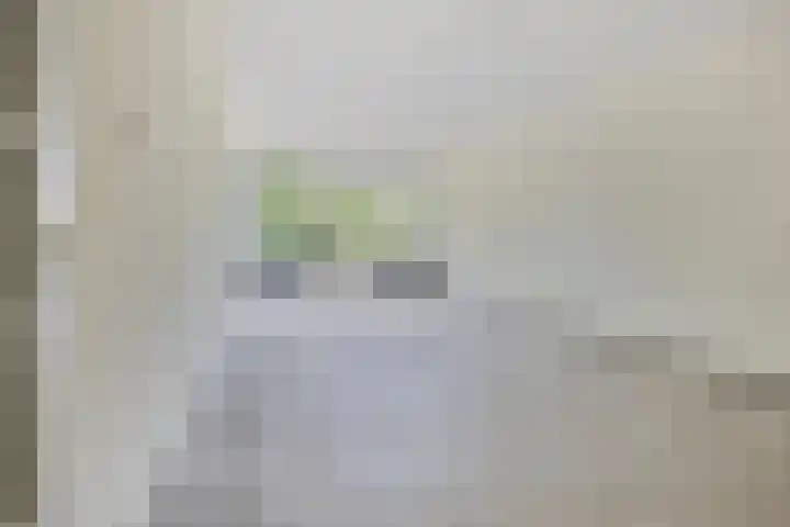 Foareker 82 Ureterp thumbnail 8