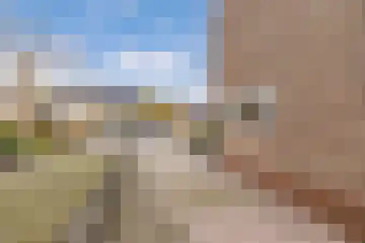 Foareker 82 Ureterp thumbnail 9