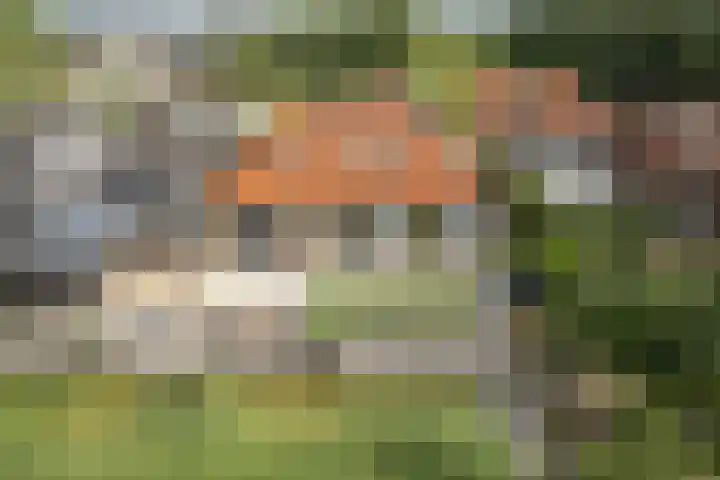 Foarstreek 10 Baaium