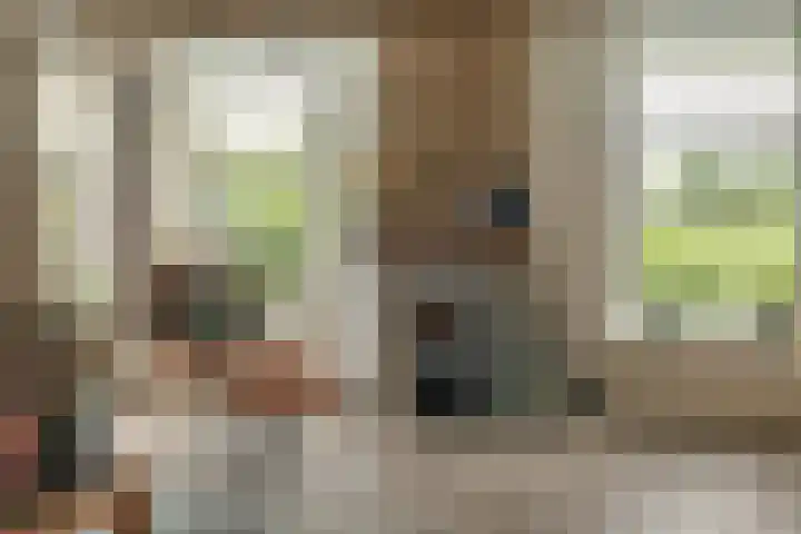 Foarstreek 10 Baaium thumbnail 12