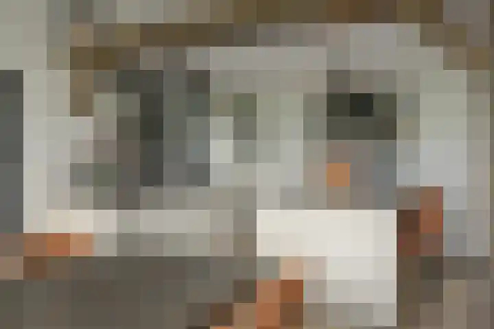 Foarstreek 10 Baaium thumbnail 24
