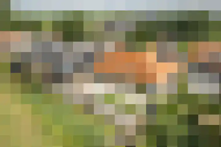 Foarstreek 10 Baaium thumbnail 4