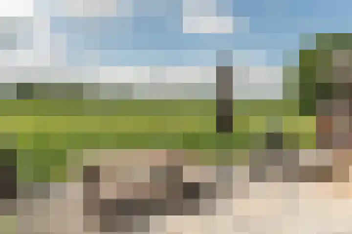 Foarstreek 10 Baaium thumbnail 46