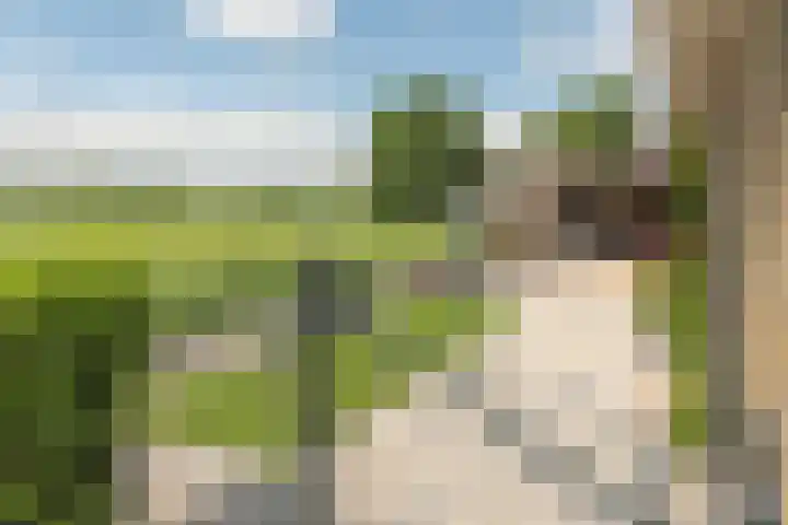 Foarstreek 10 Baaium thumbnail 47