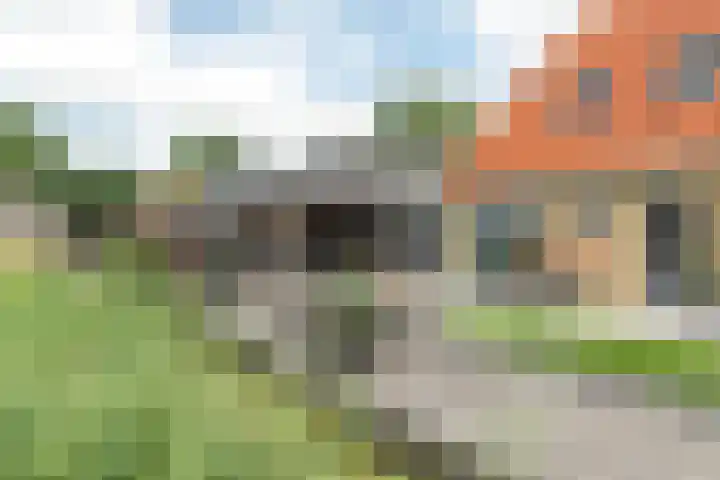 Foarstreek 10 Baaium thumbnail 5