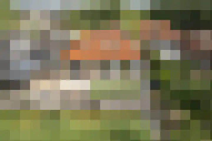 Foarstreek 10 Baaium thumbnail 50