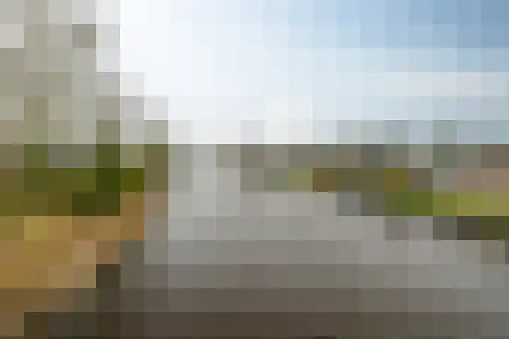 Foarstrjitte 10 De Westereen thumbnail 38