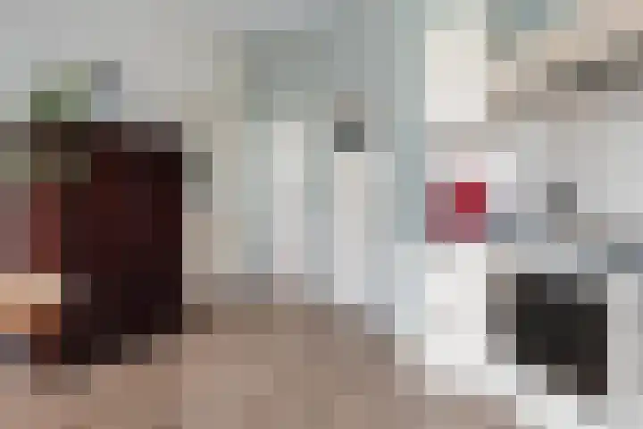 Foarstrjitte 23 Holwert thumbnail 10