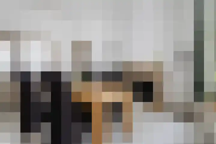 Foarstrjitte 23 Holwert thumbnail 15