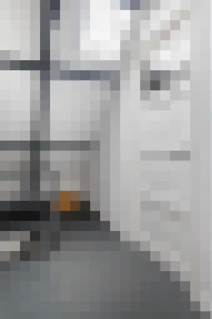 Foarstrjitte 23 Holwert thumbnail 25