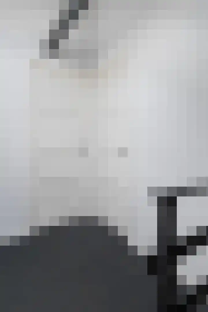 Foarstrjitte 23 Holwert thumbnail 26