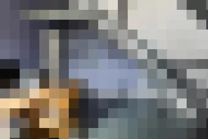Foarstrjitte 23 Holwert thumbnail 28