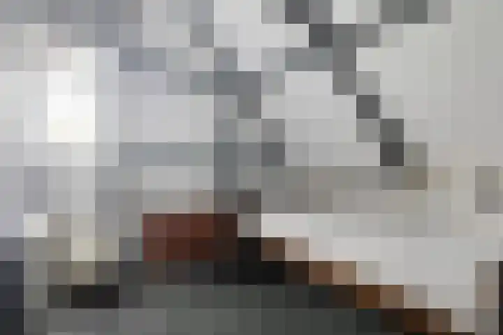 Foarstrjitte 23 Holwert thumbnail 29