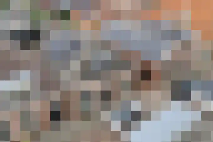 Foarstrjitte 23 Holwert thumbnail 38