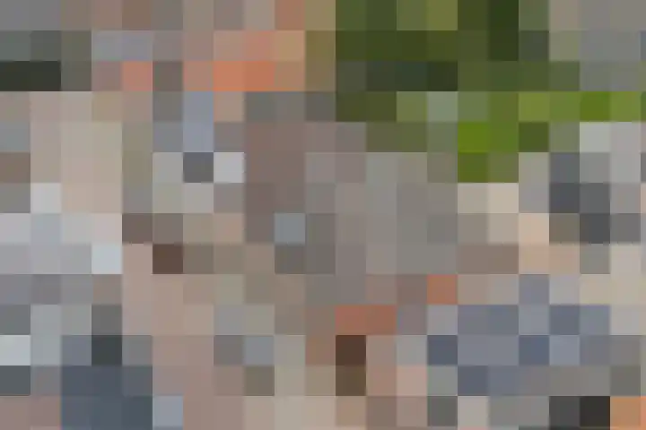 Foarstrjitte 23 Holwert thumbnail 39