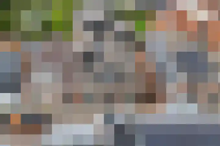 Foarstrjitte 23 Holwert thumbnail 40