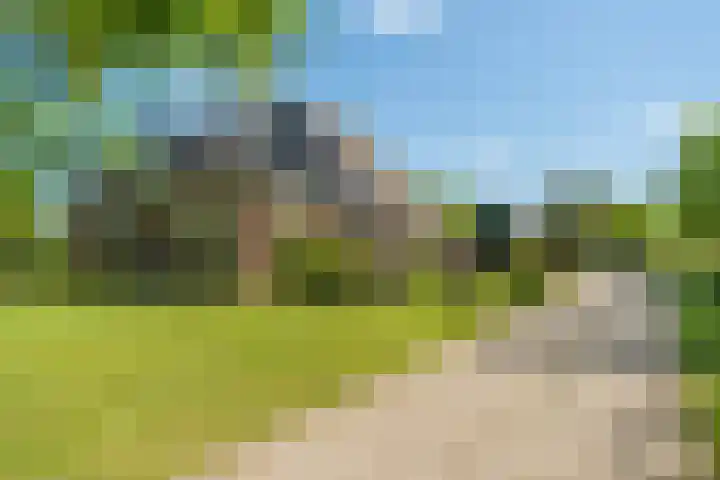 Foarwei 1 dans Aldwâld