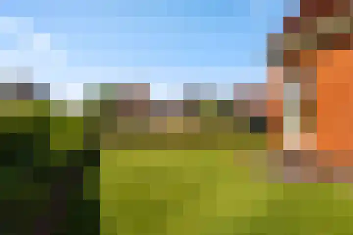 Foarwei 13 Damwâld thumbnail 10