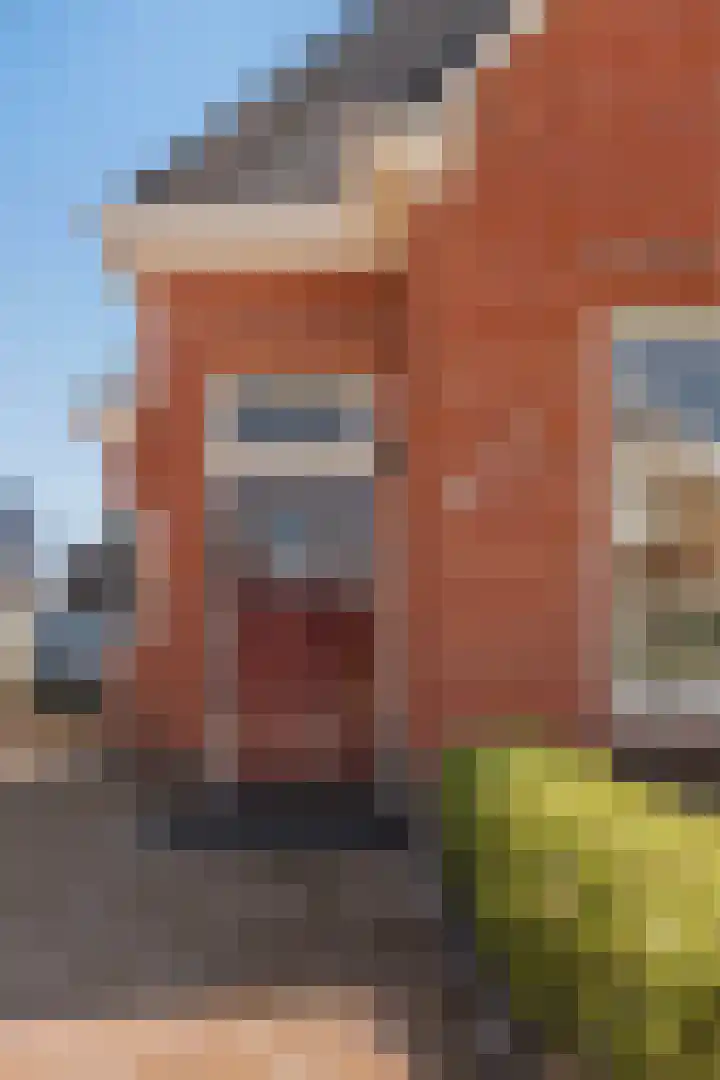 Foarwei 13 Damwâld thumbnail 11