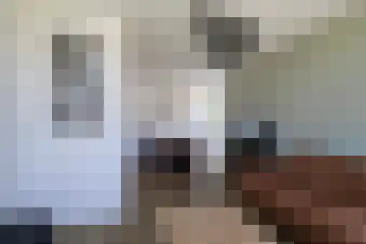Foarwei 13 Damwâld thumbnail 18