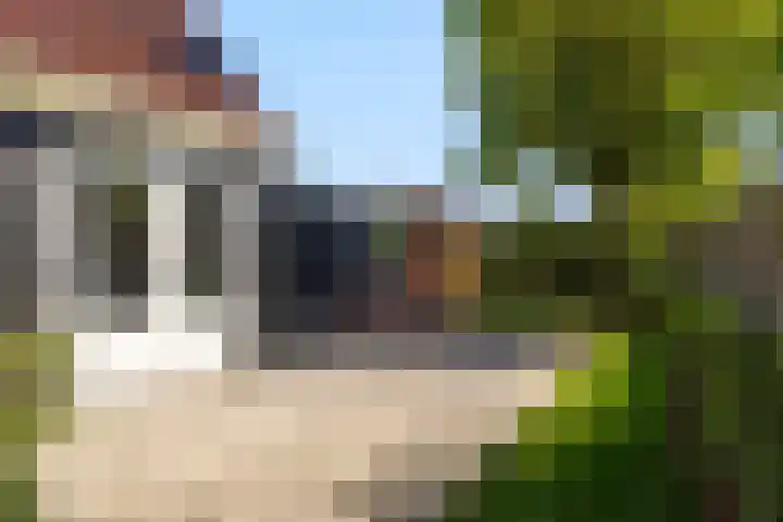 Foarwei 13 Damwâld thumbnail 27