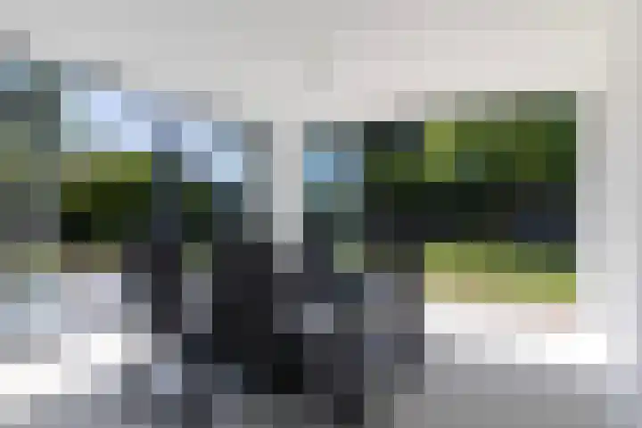 Foarwei 13 Damwâld thumbnail 33