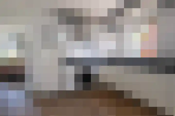 Foarwei 13 Damwâld thumbnail 4